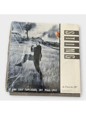 Sting If You Love Somebody Set Them Free 12’ Vinyl Record